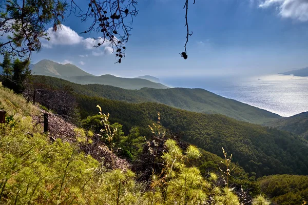 La vue sur la mer à travers les collines verdoyantes — Photo