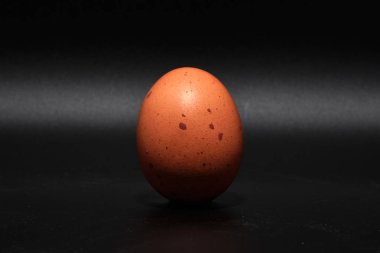 Kahverengi lekeler mol 2019 siyah bir arka plan ile yumurta