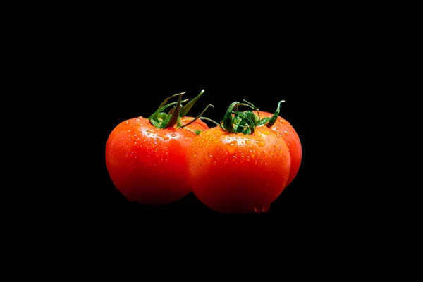 Grupo de tomates en gotas de agua sobre fondo negro — Foto de Stock