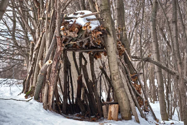 Une Cabane Bâtons Dans Forêt Hivernale 2019 — Photo