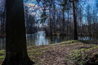 Moscow region bahar ormanda gölette