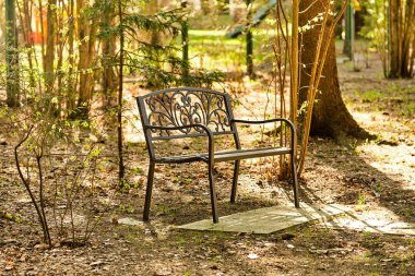 Öğleden sonra bahar ormanında metal bank