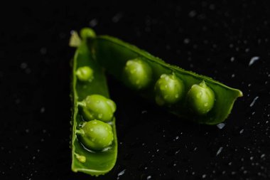 Siyah bir arka plan üzerinde su damlaları taze bezelye yakın çekim