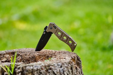 Çimlerin üzerinde bir kütüğün üzerinde katlanan bıçak