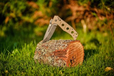 Çimlerin üzerinde bir kütüğün üzerinde katlanan bıçak