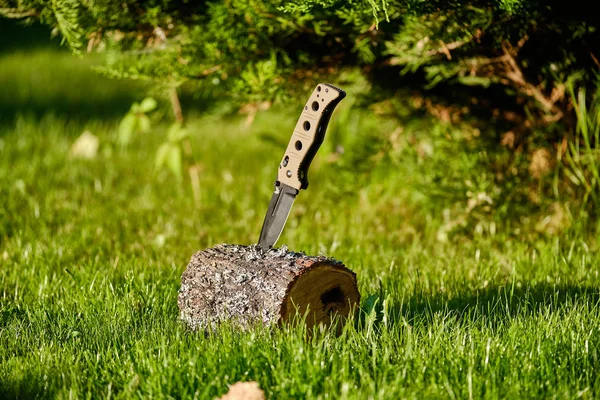 Cuchillo plegable sobre un muñón sobre un fondo de hierba —  Fotos de Stock