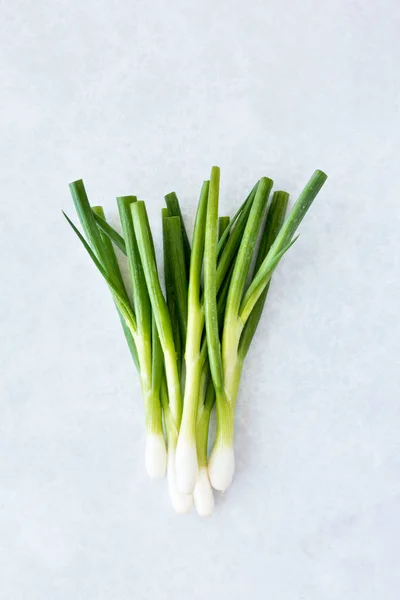 Spring Onions Water Drops Modern Diy Background Light Grey Hints — Stock Photo, Image