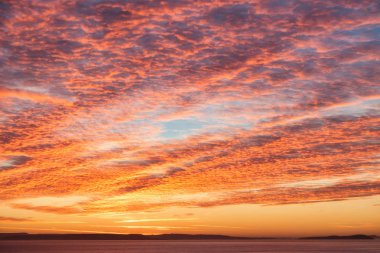 Dramatik gündoğumu uskumru gökyüzü ile sarı, turuncu ve pembe renklerde cirrocumulus bulutlar.