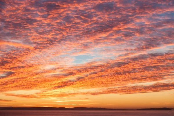 Dramatik gündoğumu uskumru gökyüzü ile sarı, turuncu ve pembe renklerde cirrocumulus bulutlar.