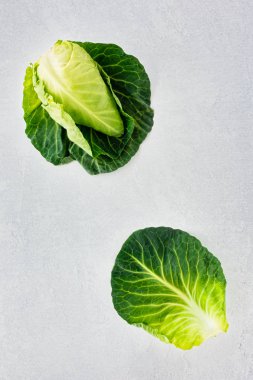 Gri arka planda tüm sivri lahana ve yaprak