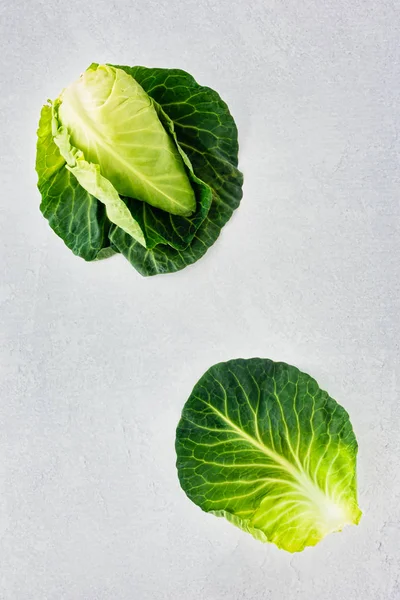 Gri arka planda tüm sivri lahana ve yaprak