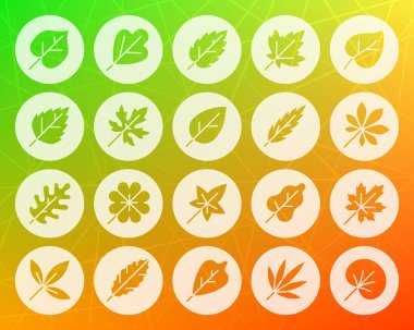 Organik yaprak şekli düz simgeler vektör kümesi oyulmuş