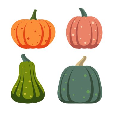 Kabak basit düz renk simgeler vektör kümesi