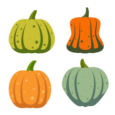 Kabak düz simgesi olgun kabak, hasat küme düşmek