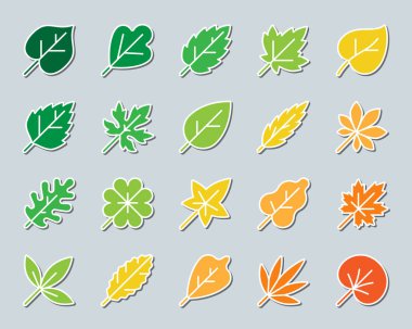 Organik yaprak yama etiket simgeler vektör set