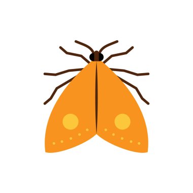 Güve kelebek böcek tek düz vektör simgesi