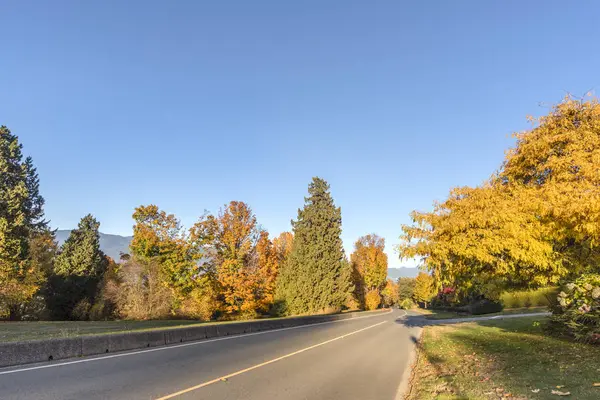 asphalt road on an autumn street with trees and fallen leaves, forest and mountains in the background