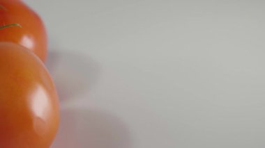 Şube beyaz arka plan üzerinde domates