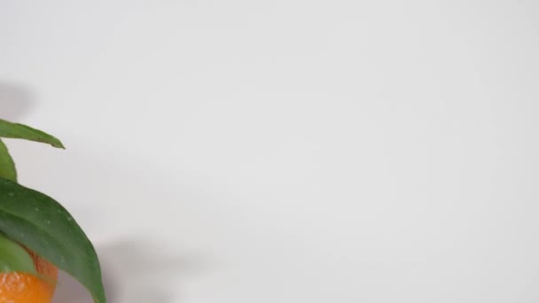 曼达林设置在白色 — 图库视频影像