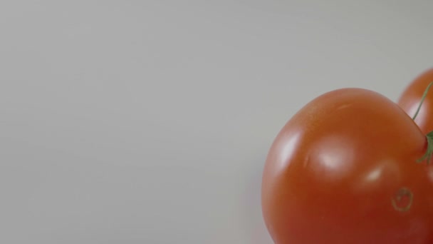 Τομάτες Υποκατάστημα Λευκό Φόντο — Αρχείο Βίντεο