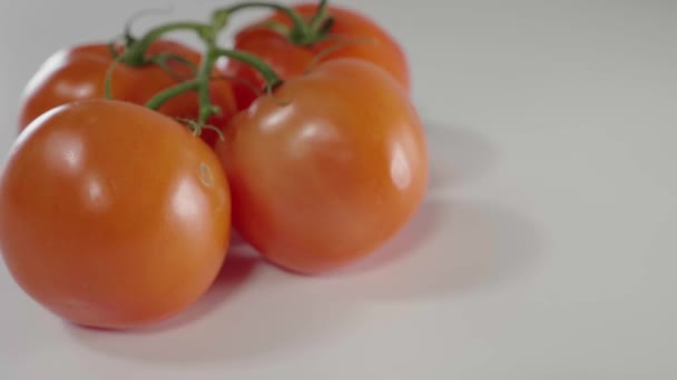 Pomidory Oddział Białe Tło — Wideo stockowe