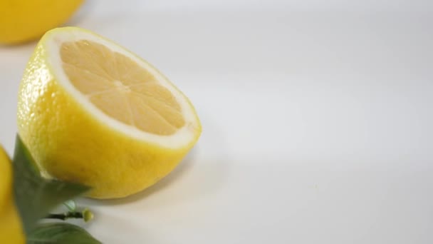Limon Set White Bacground — Stock Video