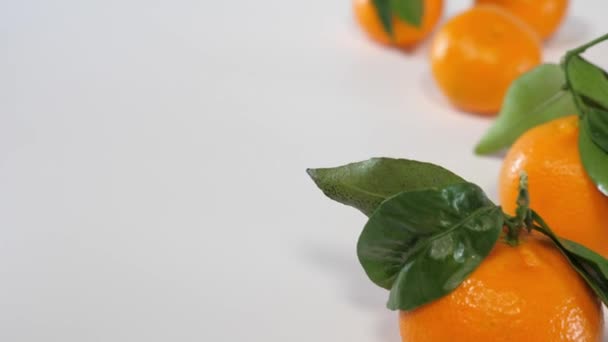 Mandarines Sur Blanc — Video