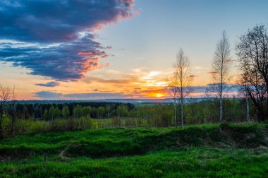 Sıcak bir akşamda renkli bir yaz günbatımı. Yeşil alan ve mor gökyüzü. Ufuktaki orman
