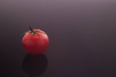 Koyu gri bir arka planda çiğ damlaları olan küçük bir kiraz domatesi. Minimalizm kavramı