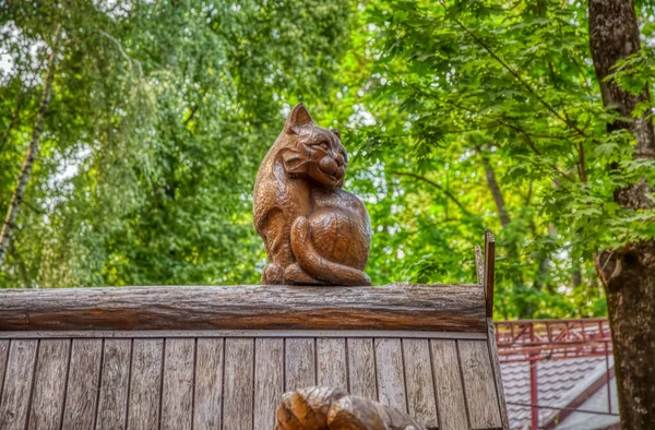 布良斯克的木制雕塑公园 阿列克谢 托尔斯泰公共公园博物馆收藏了一只猫的 2020年7月 俄罗斯布良斯克 — 图库照片