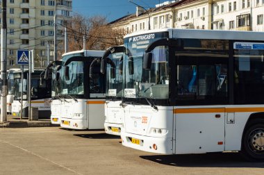 Terminaldeki beyaz otobüsler güneşli bir günde sıraya dizilir. Podolsk, Moskova bölgesi, Rusya-Nisan 2018