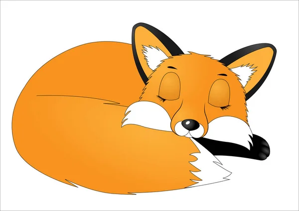 Schattige Cartoon Fox Slapen — Stockvector