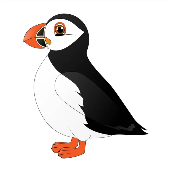 Puffin Cute Cartoon Arctic Bird — Stock Vector