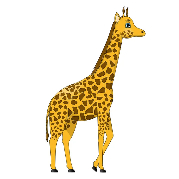 Girafa Desenho Animado Bonito Vetor — Vetor de Stock