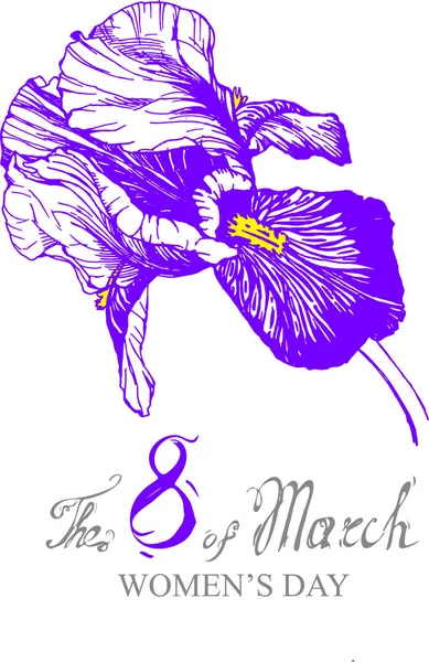 Vector Irises Violet Flower Illustration Isolated Drawn — Stok Vektör