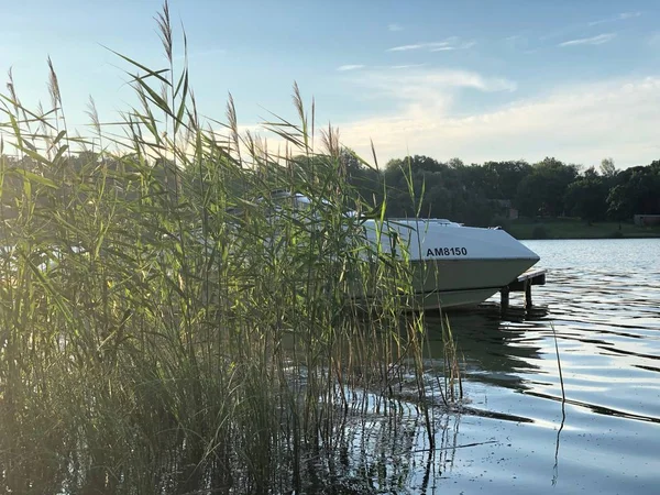 tekne; Göl; nehir; doğa; Yaz; Sakin bir liman; liman; akşam; dayoff; tatil 