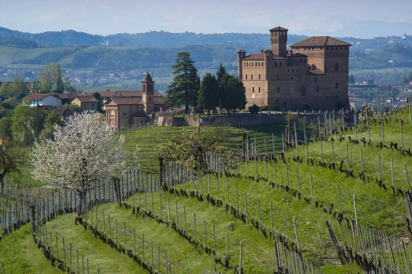 Vista Primavera Castelo Grinzane Cavour Património Unesco Território Langhe Piemonte — Fotografia de Stock
