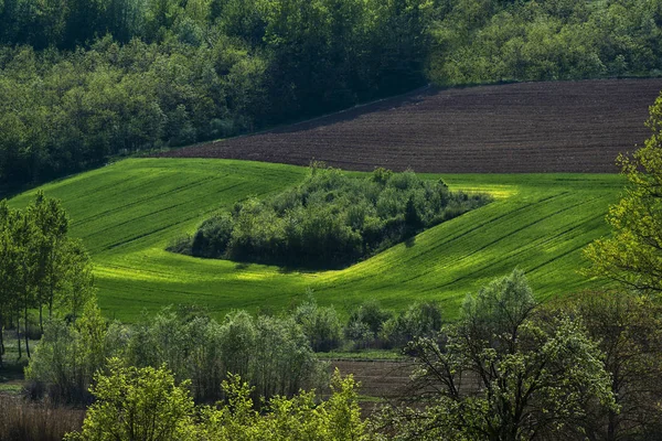 Kijk Heuvels Met Gecultiveerde Land Bos Het Midden Een Eiland — Stockfoto