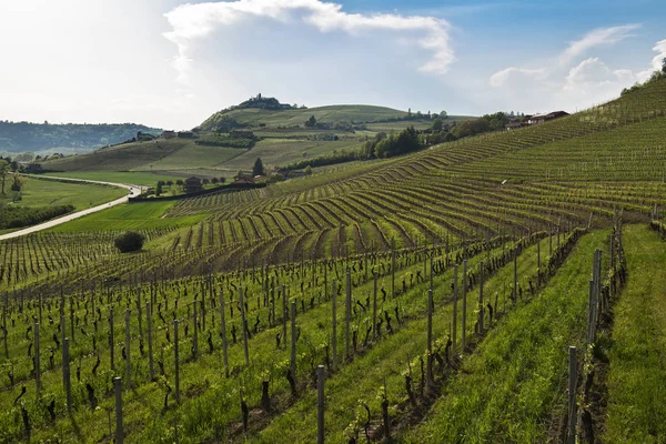 Blick Auf Hügel Mit Kultivierten Weinbergen Und Wäldern — Stockfoto