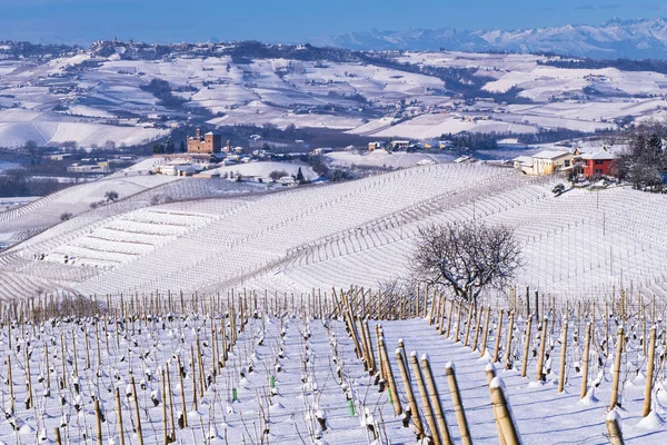 Heuvelachtig Landschap Wijngaarden Van Langhe Het Grondgebied Van Italië Van — Stockfoto