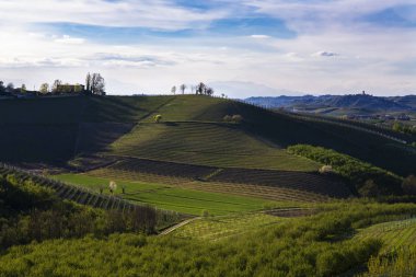 Langhe Piedmont'taki üzüm bağlarının ve bulutların görünümü