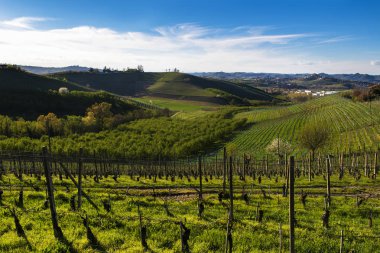 Langhe Piedmont'taki üzüm bağlarının ve bulutların görünümü
