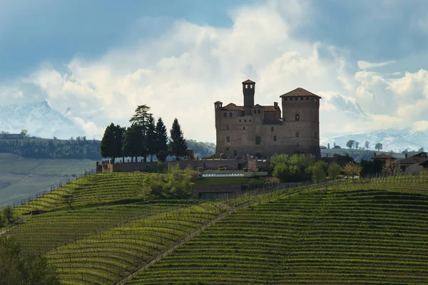 Вид на замок Грінзейн кавуна і виноградники Ланге P — стокове фото