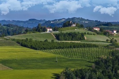 Belediye o bulunan Pianezzo yamaç üzerinde Üzüm bağları