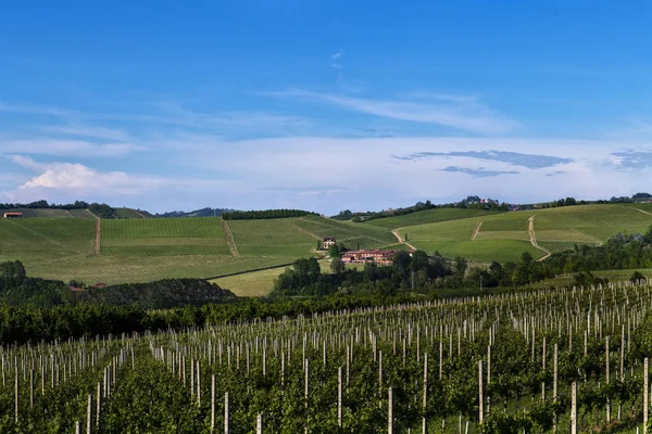 Szőlők a gyönyörű dombok a Roero területén Piedmont I — Stock Fotó