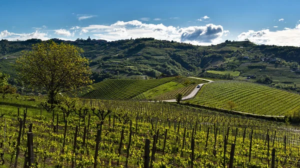 Vista das colinas e vinhas do Langhe no meio de uma estrada asfaltada atravessada por um carro — Fotografia de Stock