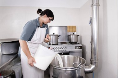 Cheese Maker çelik bir kap içine süt döker