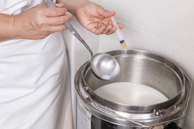 Cheesemaker bir şırınga ile rennet döker