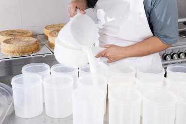 Cheesemaker plastik formları içine lor süt döker