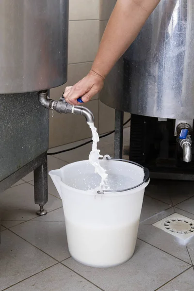 Cheesemaker abre a torneira de um recipiente para encher um balde com f — Fotografia de Stock